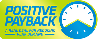 Positive Payback from Energex